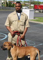 African Boerboel 