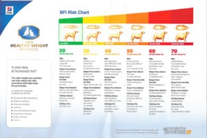 dog obesity chart 