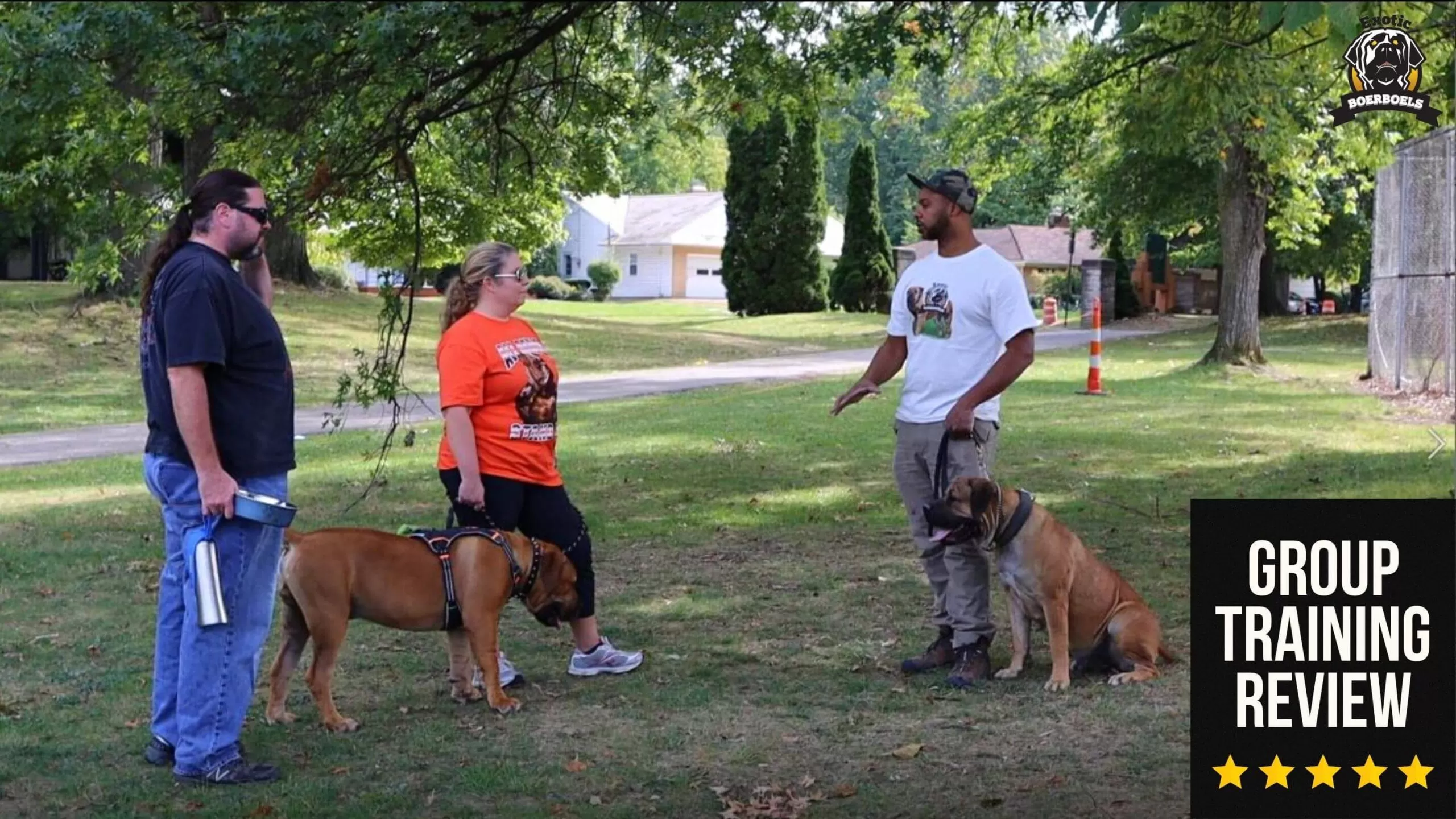 7 Characteristics of a Reputable Breeder
