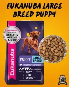 5. Eukanuba Large Breed Puppy