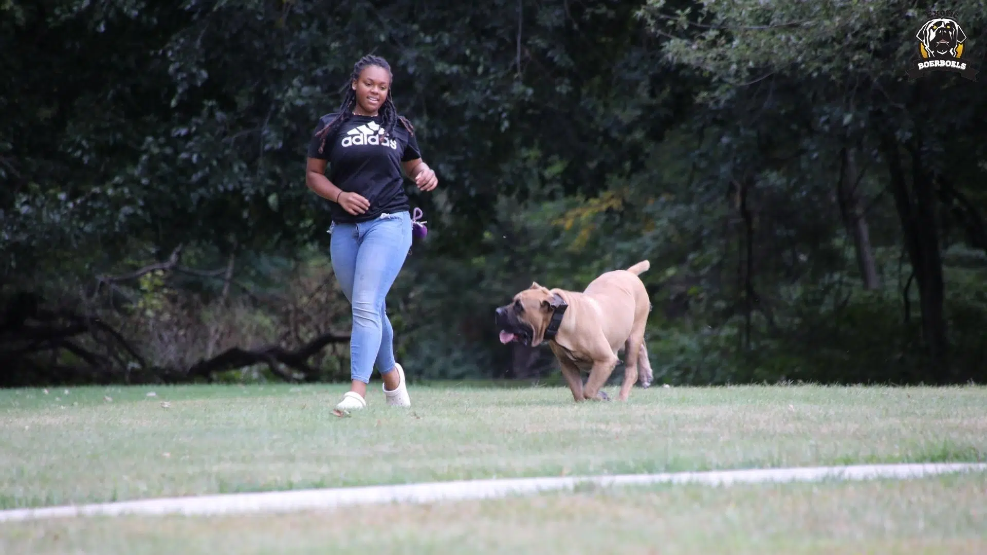 7. African Boerboel vs Bullmastff Fitness