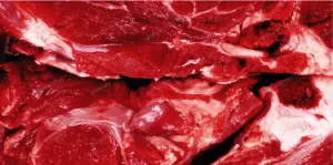 raw meat