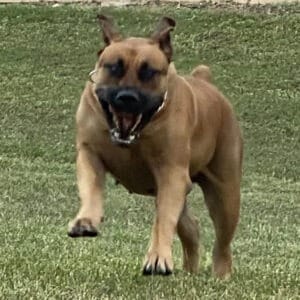 Full-body shot of Olivia in motion, capturing her strength and agility.