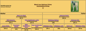 Black Iron Optimus Prime Pedigree