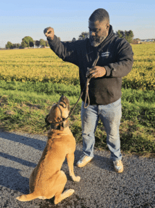 Boerboel sitting patiently as family members reward it with treats, demonstrating the dog’s obedience and trust.